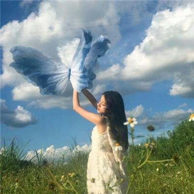 西部雌雄客海报